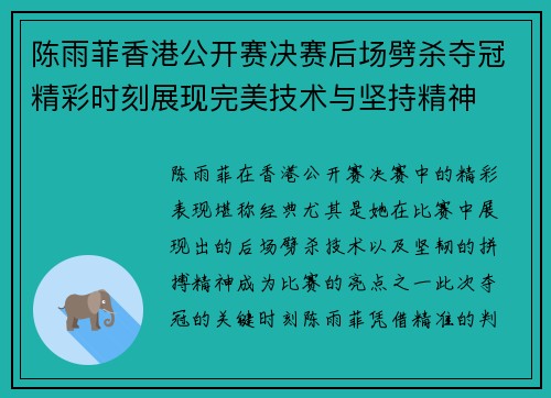 陈雨菲香港公开赛决赛后场劈杀夺冠精彩时刻展现完美技术与坚持精神