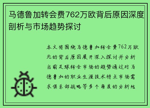 马德鲁加转会费762万欧背后原因深度剖析与市场趋势探讨 马德鲁加转会费762万欧背后原因深度剖析与市场趋势探讨